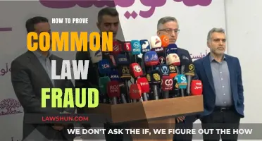 Proving Common Law Fraud: Elements and Evidence