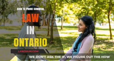 Common-Law Relationships: Proving Status in Ontario