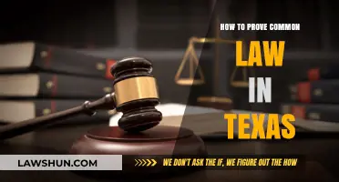 Understanding Texas Common Law Marriage Requirements