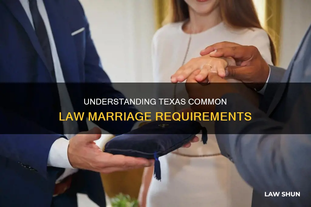 how to prove common law in texas
