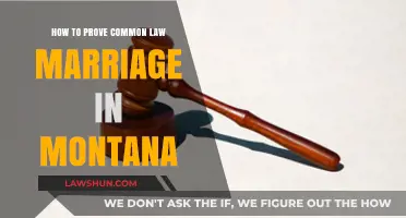 Montana Common-Law Marriage: Proving It in Court