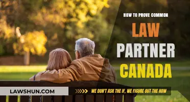 Understanding Common-Law Partnerships in Canada