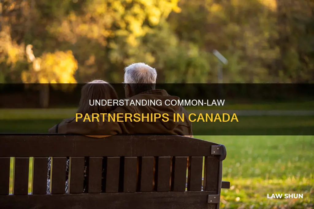 how to prove common law partner canada