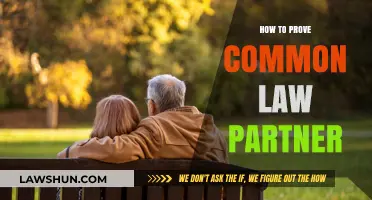 Proving Common-Law Partnership: What You Need to Know