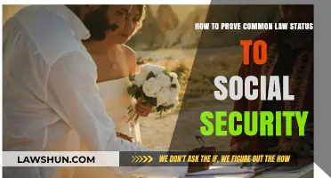 Proving Common-Law Status: Social Security Requirements