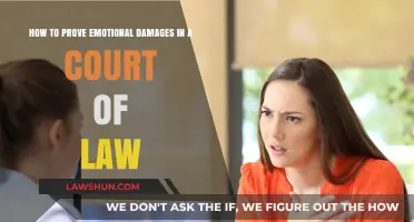 Proving Emotional Damages: Strategies for Legal Recognition and Compensation