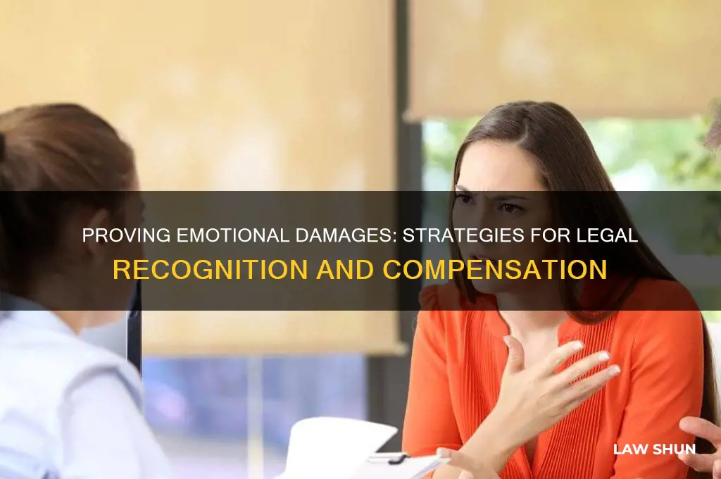 how to prove emotional damages in a court of law