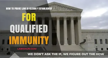 Proving Clearly Established Law: Overcoming Qualified Immunity Challenges