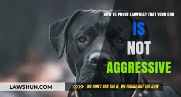 Proving Your Dog's Non-Aggression: Legal Steps and Documentation