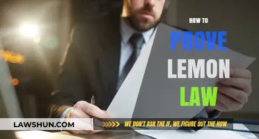 Proving Lemon Law Claims: A Step-by-Step Guide to Protect Your Rights