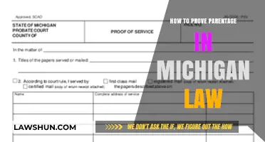 Proving Parentage in Michigan: Legal Steps and Requirements Explained