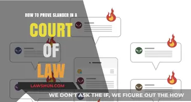 Proving Slander in Court: Essential Steps and Evidence Requirements