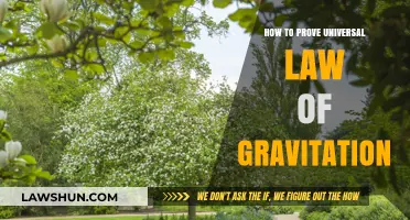 Proving Gravity: Universal Law's Foundation