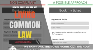 Understanding Common Law Marriage and How to Prove Otherwise