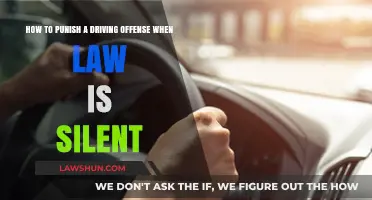 Punishing Driving Offenses: Navigating Legal Gaps and Fair Consequences