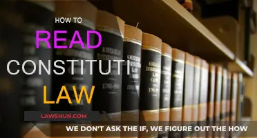Understanding Constitutional Law: A Beginner's Guide