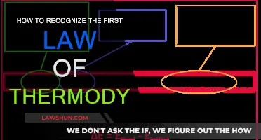 Understanding the First Law of Thermodynamics: Energy Conservation