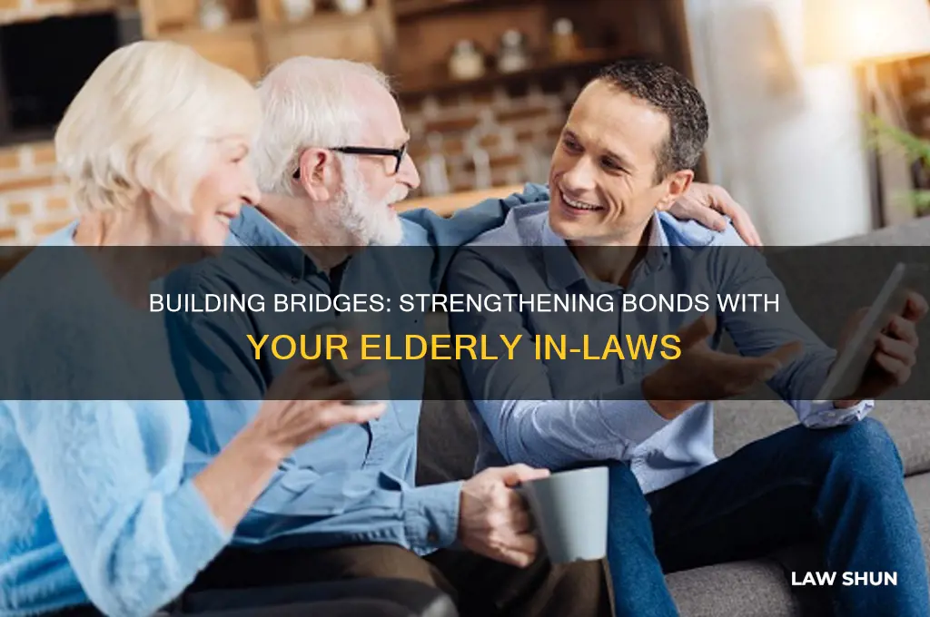 how to relate to your elderly in laws