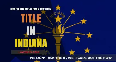 Removing Indiana Lemon Law Branding from Your Vehicle Title: A Guide