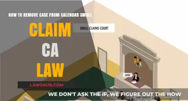Dismissing a Small Claims Case in California
