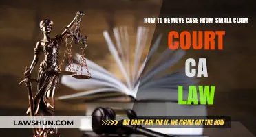 Dismissing Small Claims in California Law
