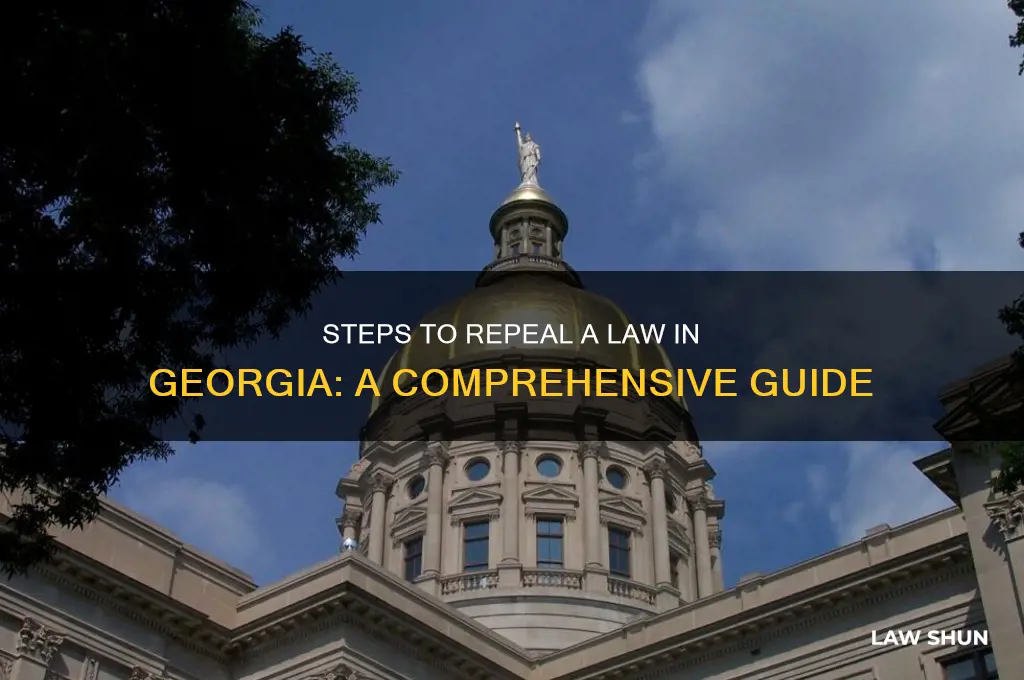 how to repeal a law in georgia