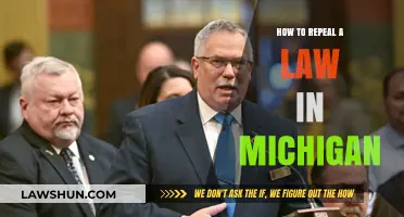 Steps to Repeal a Law in Michigan: A Comprehensive Guide