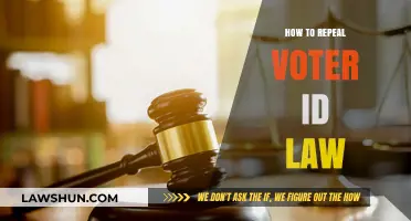 Strategies to Repeal Voter ID Laws: A Comprehensive Guide for Advocates