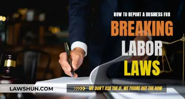 Report Labor Law Violations: Know Your Rights and Responsibilities