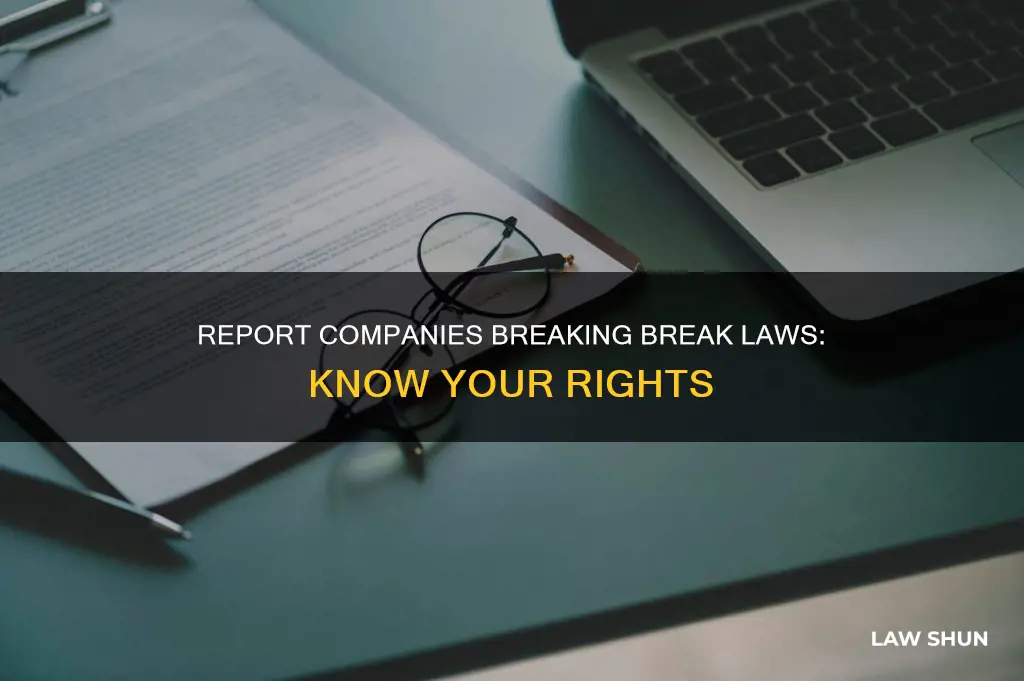 how to report a company fir breaking laws on breaks