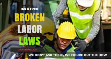 Reporting Broken Labor Laws: A Step-by-Step Guide to Protect Your Rights