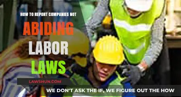 Reporting Labor Law Violations: A Step-by-Step Guide to Holding Companies Accountable