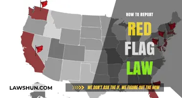 Identifying and Reporting Red Flags: A Comprehensive Guide