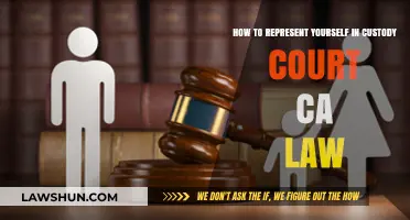 Representing Yourself in California Custody Court: Essential Tips and Strategies