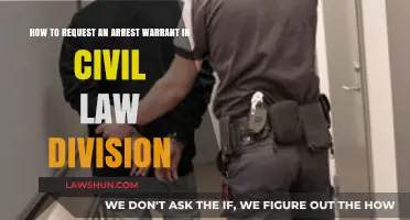 Requesting an Arrest Warrant in Civil Law: A Step-by-Step Guide