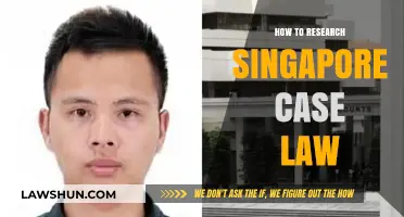 Researching Singapore Case Law: A Comprehensive Guide