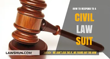Responding to a Civil Lawsuit: Essential Steps to Protect Your Rights