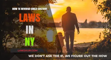 Reversing Child Custody Decisions in NY: A Comprehensive Legal Guide