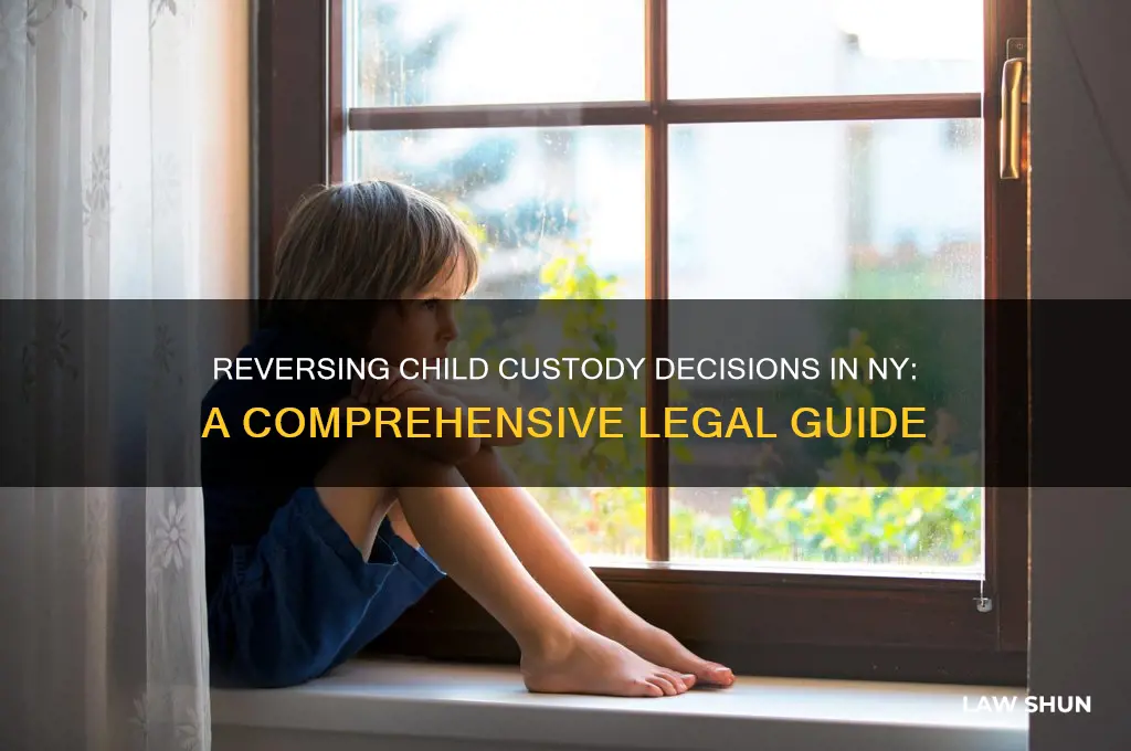 how to reverse child custody laws in ny