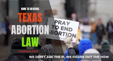 Strategies to Overturn Texas Abortion Law and Protect Reproductive Rights