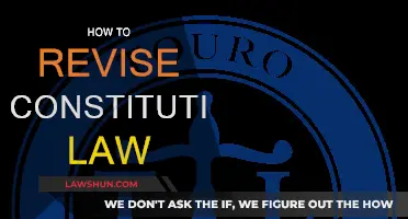 Mastering Constitutional Law Revision: Strategies for Success