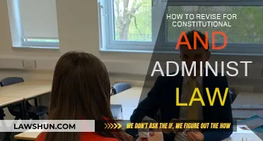 Strategies for Effective Revision in Constitutional Law