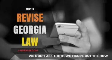Mastering Georgia Law: Effective Revision Strategies for Legal Success