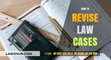 Strategies to Efficiently Revise Law Cases