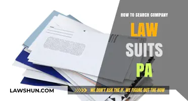 How to Search Company Lawsuits in Pennsylvania: A Step-by-Step Guide