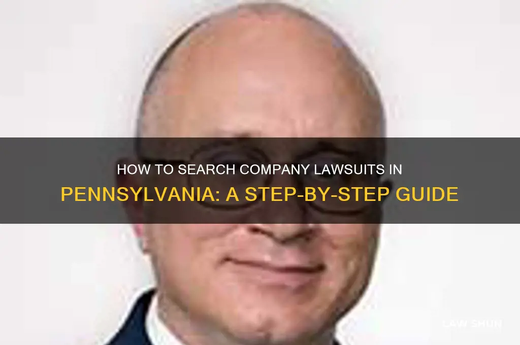 how to search company law suits pa