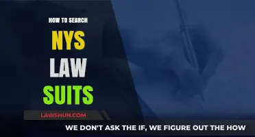 Mastering the Art of Searching NYS Lawsuits: A Comprehensive Guide