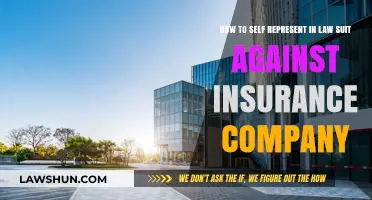 Self-Representing in Court: Winning Your Insurance Lawsuit Without a Lawyer