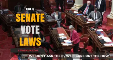 Mastering the Senate Voting Process: A Guide to Passing Laws