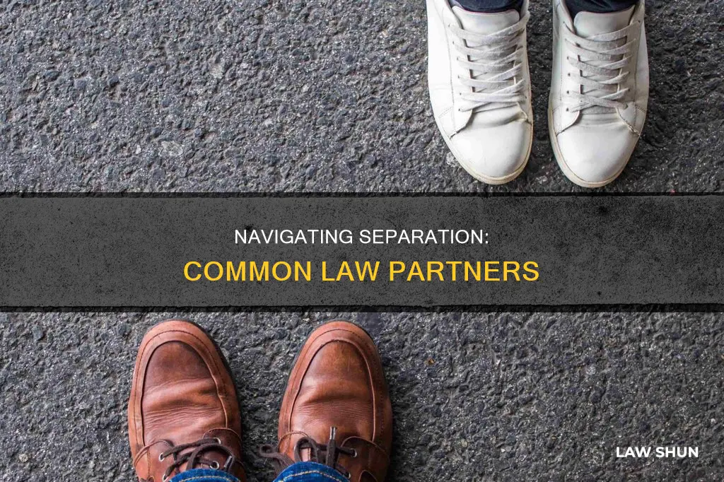how to separate from common law partner